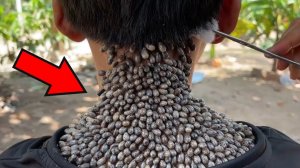 10 Насекомых с Настоящими Суперспособностями