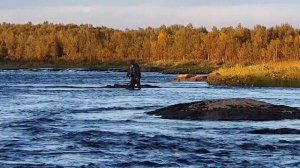 Терский берег-рыбалка на семгу!