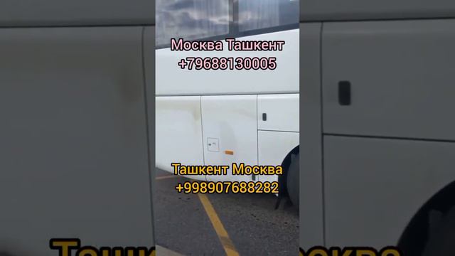 Великий Новгород Ташкент автобус Москва Ташкент автобус #москваташкент