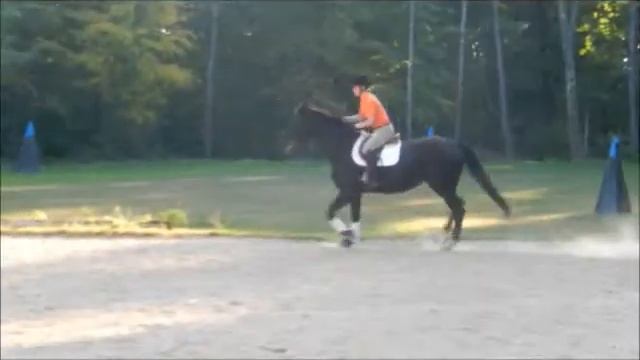 Sass, Class, and Gas смотреть онлайн