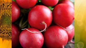 ПОЧЕМУ РЕДИС ОЧЕНЬ ПОЛЕЗЕН КОМУ НЕЛЬЗЯ ЕСТЬ РЕДИС