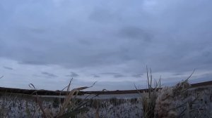 Охота на уток осенью 2016 года в Ставропольском крае
