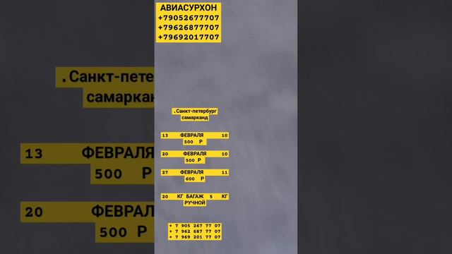 ПРОВЕРКА🎟 РЕДКО⛔‼️ РЕГИСТРАЦИЯ 🛫 ДАКУМЕНТ АЭРОПОРТ ПУЛКОВО🇷🇺 УЗБЕКИСТАН 🇺🇿 РЕГИСТРАЦИЯ #aviasurhon