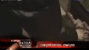 ВНЕ ЗАКОНА ДЕТСКИЕ СТРАХИ