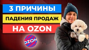 3 причины ПАДЕНИЯ ПРОДАЖ на Озоне / Почему снизились обороты Ozon