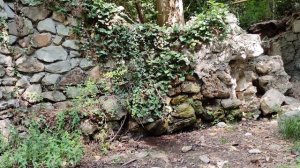 Ручей в крымском парке под пение цикад видео 4К UHD 2160p