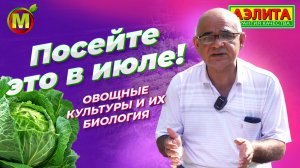 ЧТО ПОСЕЯТЬ В ИЮЛЕ? Овощные культуры и их биология.