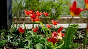 Концерт «Пасха сквозь времена и эпохи»