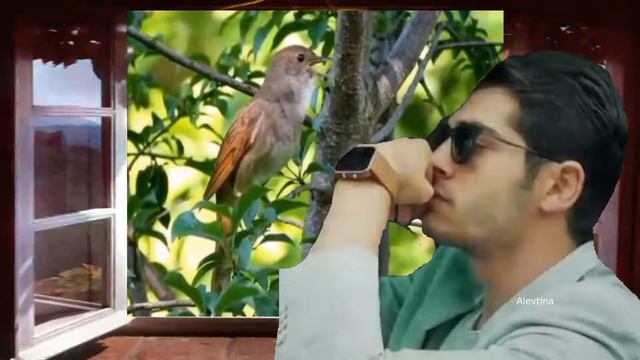 Если б не было тебя смотреть онлайн