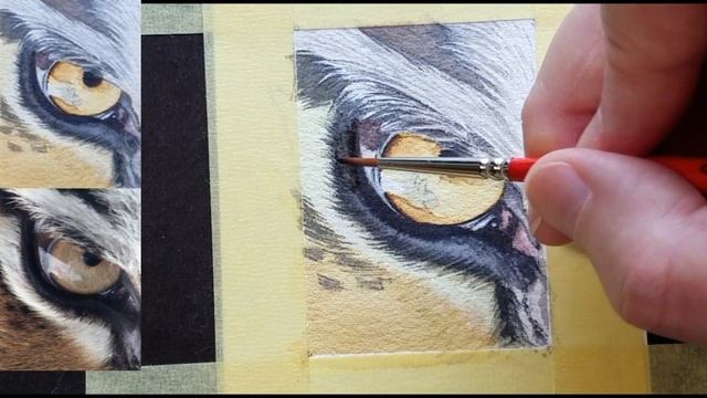 How to Paint the Realistic Eye of a Tiger in Watercolor смотреть онлайн
