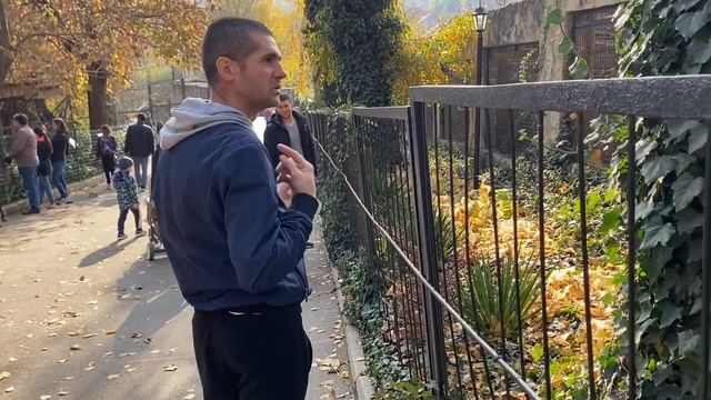 г. Кишинёв семейный прогулка Зоопарк, ЦП ОГРМ (Глухие) смотреть онлайн