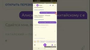 Праверяем как по китайскому серая,серые,серая птица