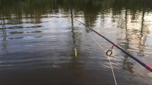 Полубарские Озёра Карты начало августа