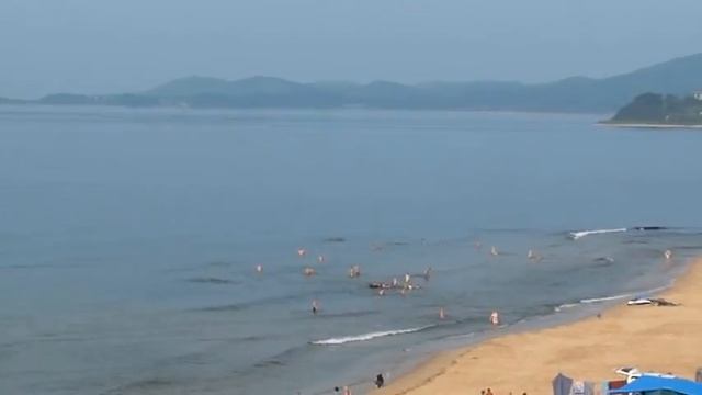 В Ливадии хорошая погода, температура воды в море 21, утро 09.08.2013 г. смотреть онлайн