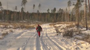 Разведка в окр горы Колчиной 2016 г