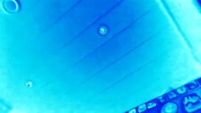 Значение экспозиции зафиксировано. in Fmaj Vocoder смотреть онлайн