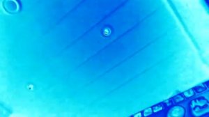 Значение экспозиции зафиксировано. in Fmaj Vocoder