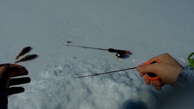 Вот это КАБАНЫ-ОКУНИ!  Ловчая блесна и СУПЕР клев на зимней рыбалке СИБИРИЯ