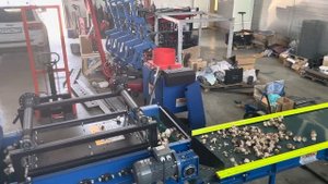 Линия первичной очистки чеснока производства ТМЗ РЕСУРС.