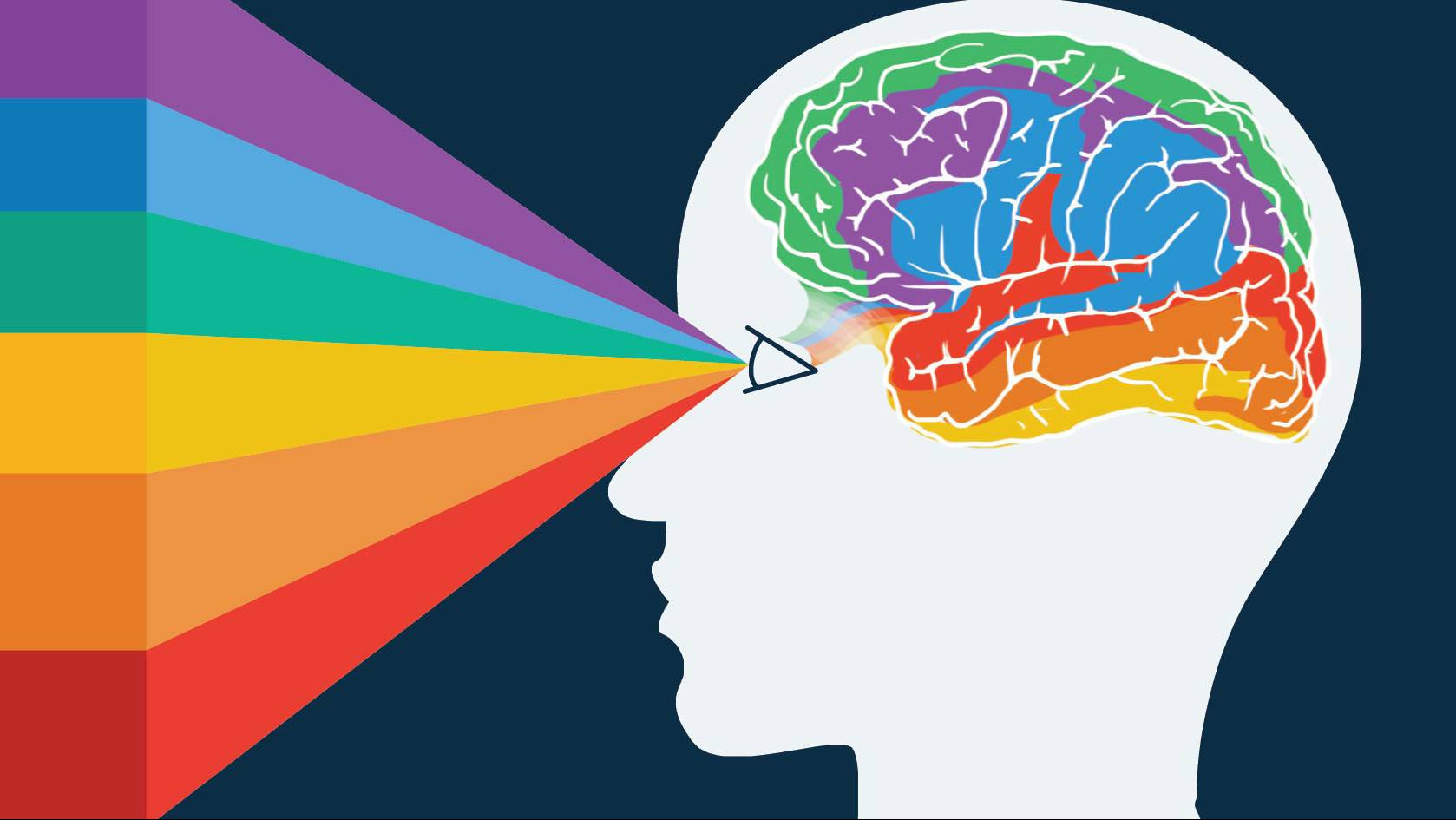 Фестиваль Техно - арт г. Новосибирск.