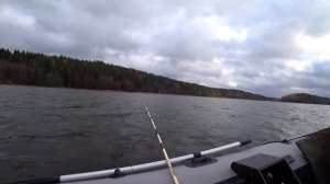 20211010 новый Тохатсу 9.8 обкатка, минус два воблера...