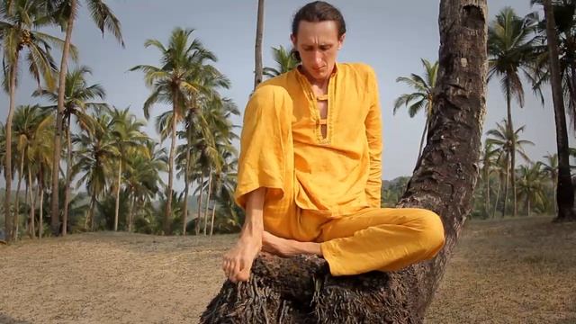 Нога за головой на пальме [Зарисовки] [Калабин] [2012] смотреть онлайн