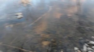 ПРОБНАЯ РЫБАЛКА ПО ОТКРЫТОЙ ВОДЕ на ладожском озере (КРУГОМ СЕТИ.)