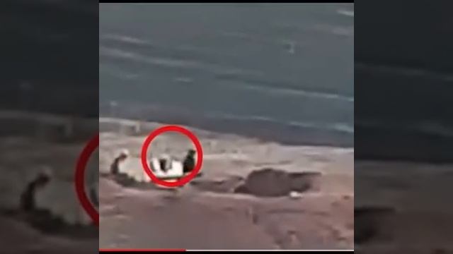 МОИ ПРЕДСКАЗАНИЯ.. НАПОМНИМ МИРУ... смотреть онлайн