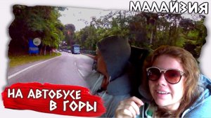 Самостоятельные путешествия // Высокогорье Камерон Малайзия