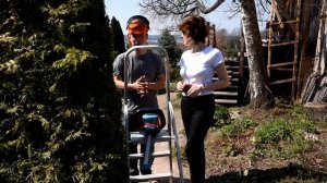 Как стричь изгородь из туи