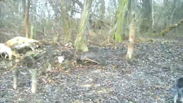 Как разрешился вопрос о рыбалке на Волынцевском водохранилище в Енакиево. смотреть онлайн