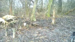 Как разрешился вопрос о рыбалке на Волынцевском водохранилище в Енакиево.