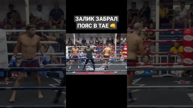 Зелимхан забрал пояс в Тайланде #залик #зелимханюсупов #hfc #hardcore #popmma