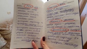 Генеральная уборка к Новому году. Как всё успеть