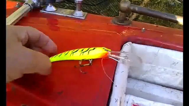 Wędkowanie w Kołbaskowo, Moczyły: sum 14 kg, 125 sm "Сом 14 кГ" смотреть онлайн