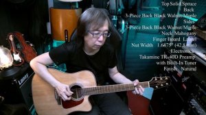 Takamine GD93CE