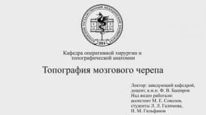 Топография мозгового черепа