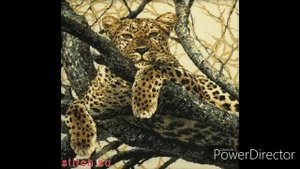 ТОП 10 САМЫХ ВЫШИВАЕМЫХ НАБОРОВ РИОЛИС ЗА ВСЮ ИСТОРИЮ//САМЫЕ ПОПУЛЯРНЫЕ НАБОРЫ РИОЛИС