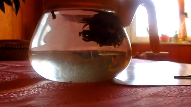 Китайцы Чай Прислали. Цветочный чай, цветок в чайнике. смотреть онлайн