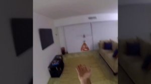 летающая какашка.