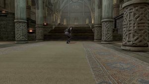 Skyrim SE Builds - The Gray Fox - Oblivion Nostalgia Modded Build