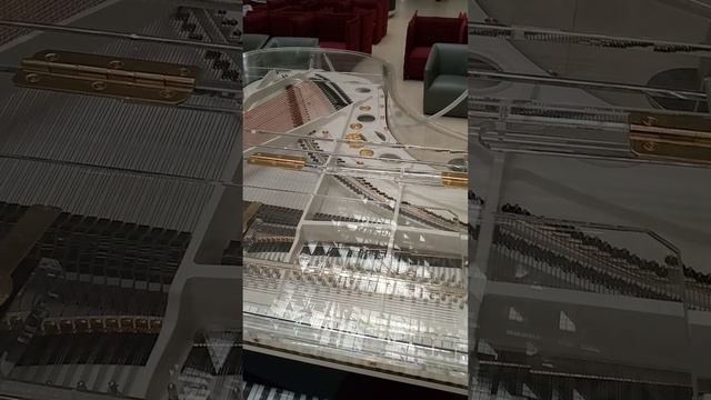 рояль а аэропорту