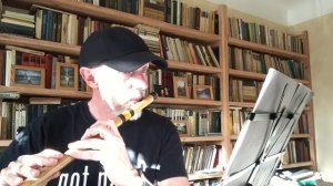 Ю.Должиков «Этюд №2» ( на флейте Бансури)