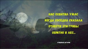 Грибное место . Реальные Истории. Мистические Истории. Страшные Истории На Ночь.