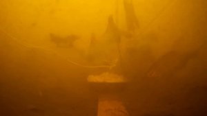 ТАК ВОТ ОТ ЧЕГО ДУРЕЕТ ВСЯ РЫБА! Реакция рыбы на уксус. Подводная съемка