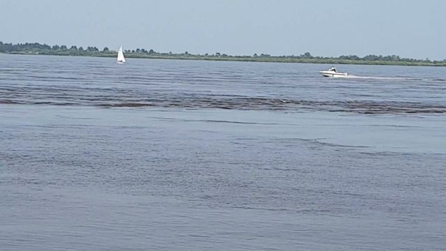 БЛАГОВЕЩЕНСК .АМУР. СИТУАЦИЯ на 3 августа смотреть онлайн