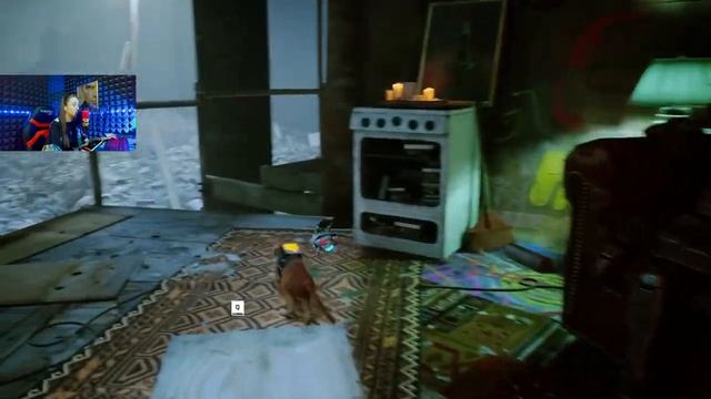 ?STRAY ПРОХОЖДЕНИЕ #13|STRAY ЛЕТСПЛЕЙ|СТРЕЙ ПРОХОЖДЕНИЕ|СТРЕЙ ЛЕТСПЛЕЙ|STRAY ОБЗОР МИЛКА ЭВИЛ смотреть онлайн