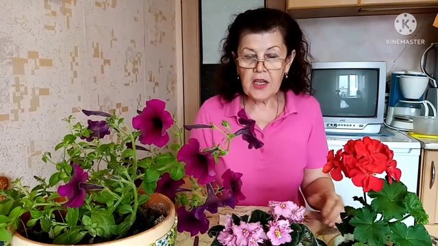 Выращиваем очень крупный чеснок и лук.