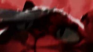 Кот в сапогах