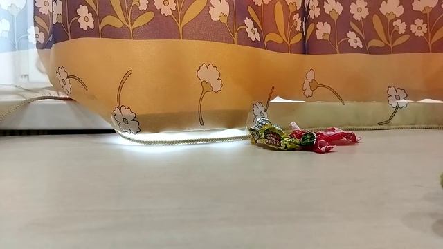 Что натворил желтобрюх в доме у медведя Валеры! смотреть онлайн